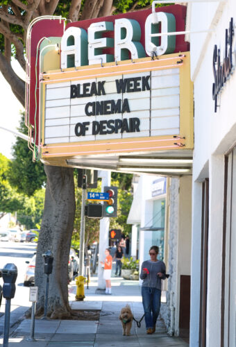 Feeling a little bleak about the world? There’s a film  festival for that